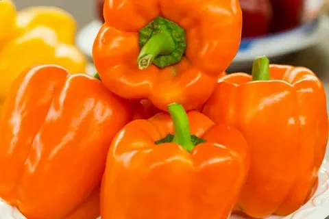 تصویر 3 از فلفل دلمه نارنجی تازه چین آبدار مصرف خام سالم